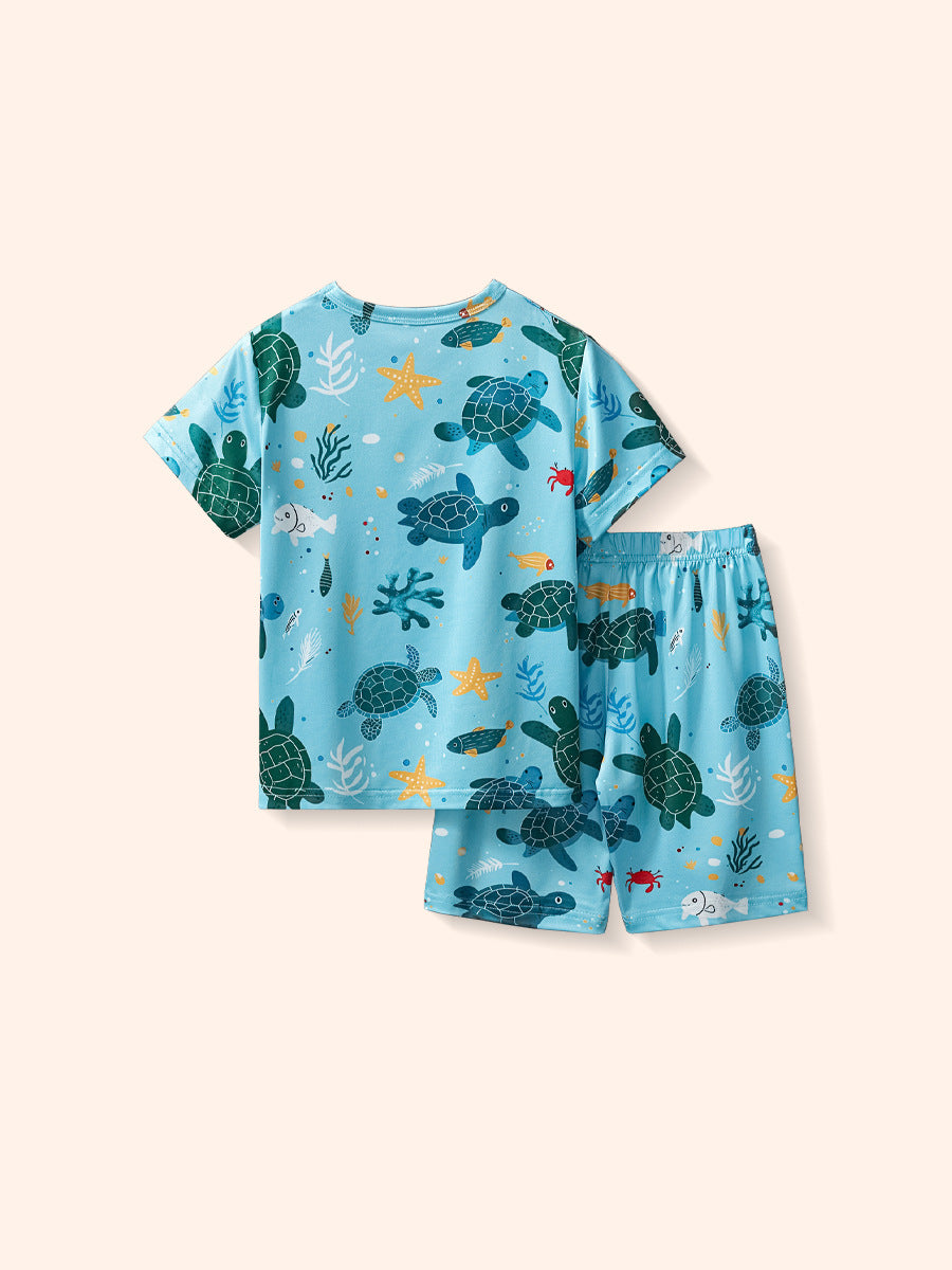 Kids Casual Cartoon Graphic T-Shirt and Shorts Set