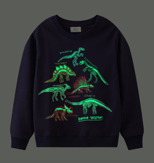Glow In The Dark Dinosaur Sweatshirt Boys