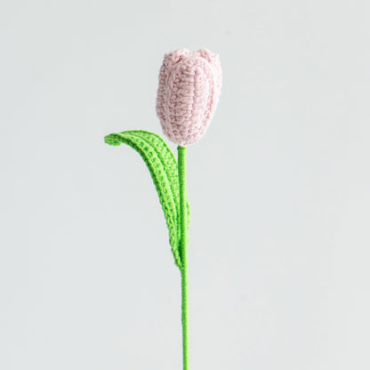 Single Stem Dried Flower Rose Tulip Bouquet Decor