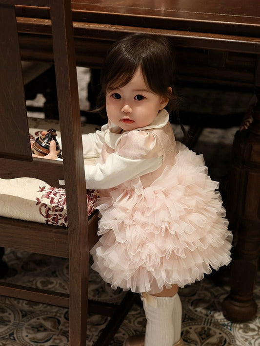 Baby Girls' Pink Princess Birthday Dress