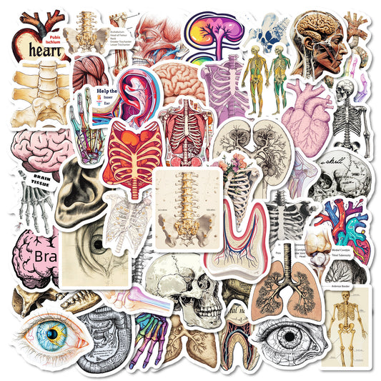 Sticker Pack Realistic Organ Doodle Waterproof Vinyl